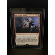 Burn from Within Shadows Over Innistrad Magic: the Gathering Trading Card
