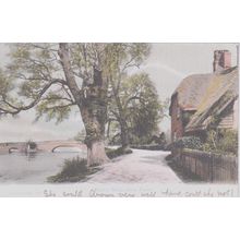 Ibsley Bridge New Forest Hampshire F.G.O Stuart 537 Postcard (QHAM175)