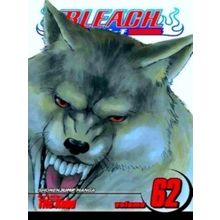 Bleach, Vol. 62