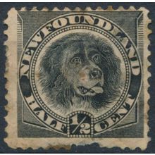 Dog: ½c - Newfoundland 1894 - FH - SG 59
