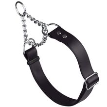 Dog Pet Martingale Collar W 1" x L 20"-26" Black