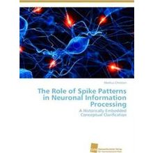 The Role of Spike Patterns in Neuronal Information Processing