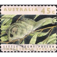 AUSTRALIA, MAMMALS, Little Pygmy-Possum, brown 1992, 45c, #2
