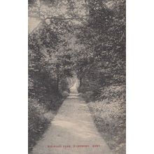 Holywood Park Farnborogh Kent Scary Wooded Lane Play Message Antique Postcard