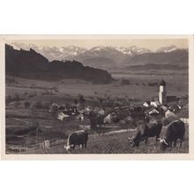 Luftkurot Bavaria Aerial View Of Farm Houses Cattle Fields Antique German Postca