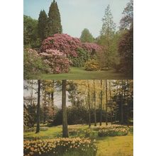 2x Spring Summer Sheffield Park Gardens Sussex Rhodendron Conifer Postcard s