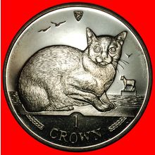Ⰶ GREAT BRITAIN: ISLE OF MAN★ 1 CROWN 1996 CAT OF BURMA UNC★LOW START★NO RESERVE