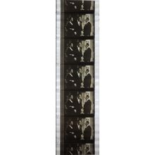 NOTORIOUS. Pk MTP - A018r. 1 STRIP OF 5 - 35MM FILMCELLS
