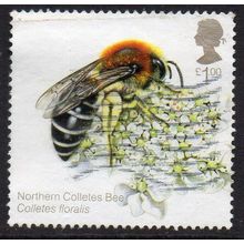 GB 2015 Bees - Northern Colletes Bee £1 Used