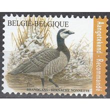 Belgique 2020 COB 4912 Neuf ** Cote (????) ?.?? € Bernache nonnette