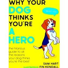 Why Your Dog Thinks You're A Hero