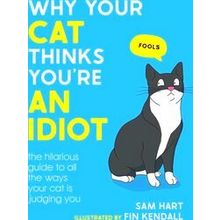 Why Your Cat Thinks You're An Idiot