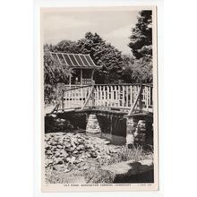 Lily Pond Kensington Gardens Lowestoft Postcard RP Suffolk