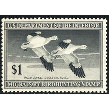 RW14, Mint VF NH $1 Federal Duck Stamp - Stuart Katz