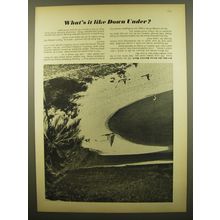 1961 Australian National Travel Association Ad - What's it like Down under?