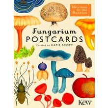 Welcome To The Museum Fungarium Postcards