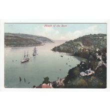 Mouth of the River Dart Devon Postcard 11199
