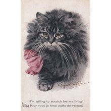 Cat I Will Scratch For A Living Old Comic Artistique Postcard
