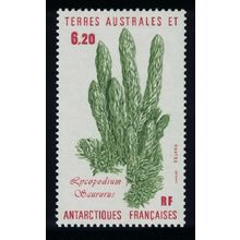 FSAT TAAF 'Lycopodium saururus' Plant 1986 MNH SG#217 MI#215
