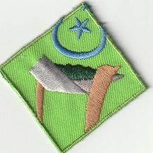 Scout?? Proficiency?? Badge - Non UK - White Back (BY280)