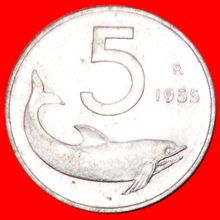 DOLPHIN: ITALY ★ 5 LIRA 1955R!!! LOW START★NO RESERVE!