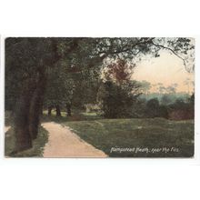 Hampstead Heath near the Firs London Postcard