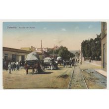 Tenerife. Rambla de Pulido Santa Cruz early 20th C. RPPC Spain Nobrega 2523