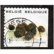 BEL 2007 (52c)(S/A) 'FRUIT- BLACKBERRIES' FINE USED (EBID10435)