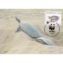 Arrau River Turtle Venezuela WWF Rare Ld Stamp FDC Postcard