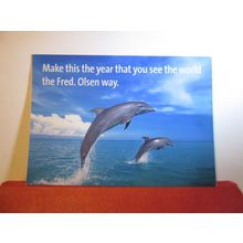 DOLPHINS, unused postcard Fred Olsen Cruise Lines dated 2008/09 =