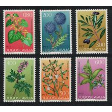 Yugoslavia Medicinal Plants Flowers 6v 1973 MNH SG#1555-1560