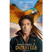 Dolittle (2020)_8 Movie Film Poster Canvas iconic design