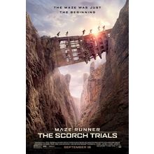 Maze Runner The Scorch Trials 3 Poster Canvas Movie Film Print A0 A1 A2 A3 A4 A5