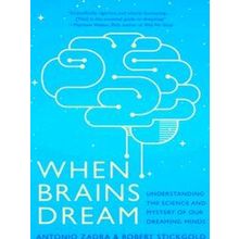 When Brains Dream