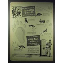 1948 Ethyl Gasoline Ad - Tracks in Snow