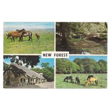 NEW FOREST,multiview used vintage postcard 1971 postmark =