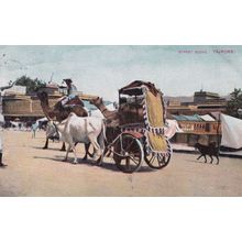 Street Scene Tajpore West Bengal Old Postcard