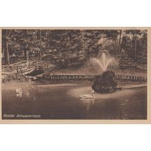 AK Apolda Partie AM Schwanenteich German Swans River Old Postcard