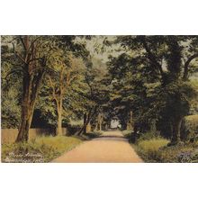 EC321 BEMBRIDGE , I.O.W. - DUCIE AVENIE . PRINTED POSTCARD