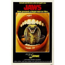 Sssssss 02 Poster Canvas Movie Film Print A0 A1 A2 A3 A4 A5 A6 Art Wall Decorati
