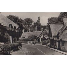 The Old Village Shanklin Isle Of Wight Real Photo Postcard