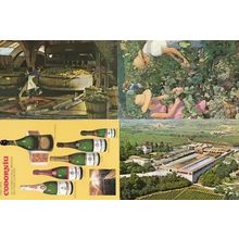 Cavas Codorniu Ladies Making Spain Wine Bottles 4x Spanish Postcard s