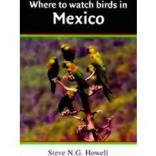 Where to Watch Birds in Mexico