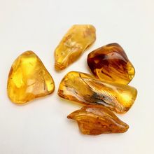 Amber | tumbled | single piece[ ]