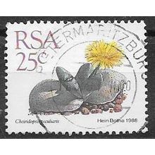 South Africa N° 667 YVERT OBLITERE ( USED )