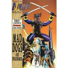 Ninjak (Vol 1) # 013 NM MODERN AGE COMICS