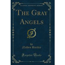 The Gray Angels (Classic Reprint)
