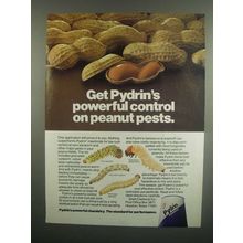 1984 Shell Pydrin Ad - Control Peanut Pests