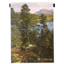 BEINN AIRIDH CHARR, Ross-shire unused postcard J.Arthur Dixon PRO 85325 =