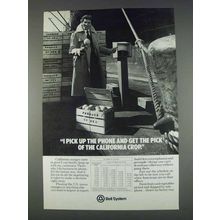 1982 Bell System Ad - Pick of California Crop